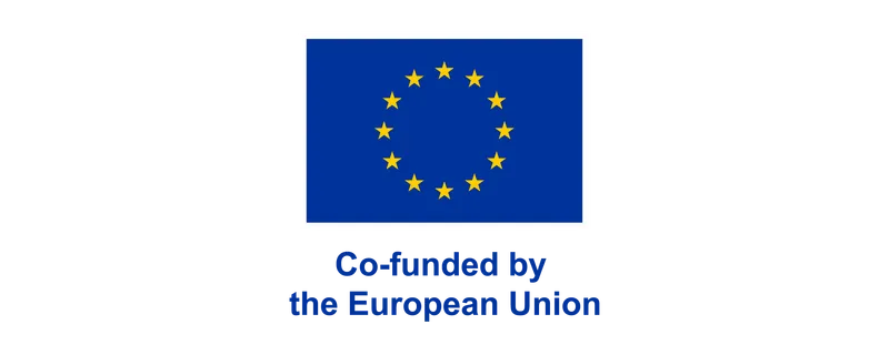 Co-funded by the European Union